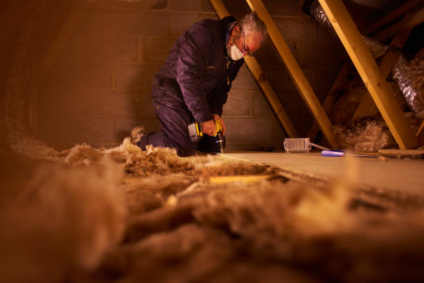Professional Insulation Contractor in MS
